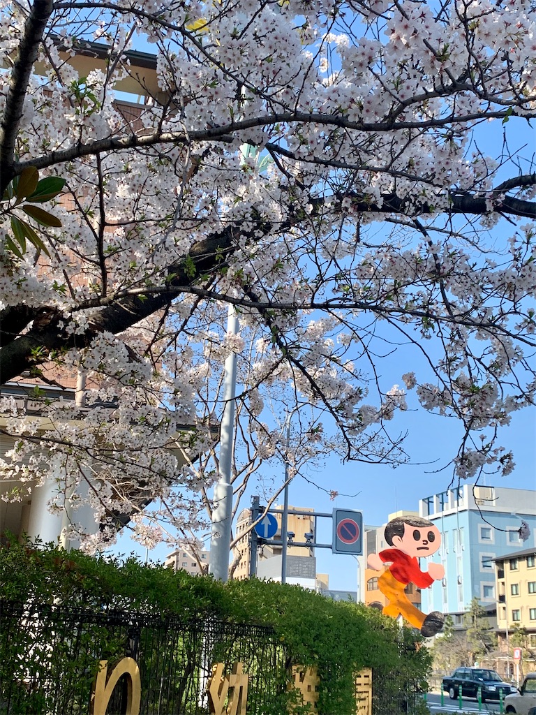 f:id:kiyusada:20200502000828j:image