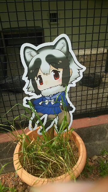 f:id:kiza913x:20170507191405j:image f:id:kiza913x:20170507191405j:image