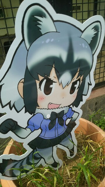 f:id:kiza913x:20170507194824j:image f:id:kiza913x:20170507194824j:image