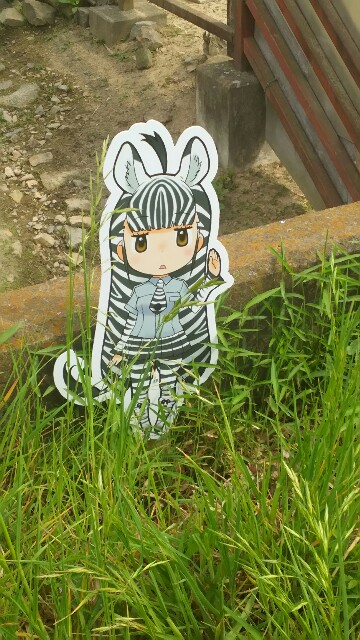 f:id:kiza913x:20170507200854j:image f:id:kiza913x:20170507200854j:image