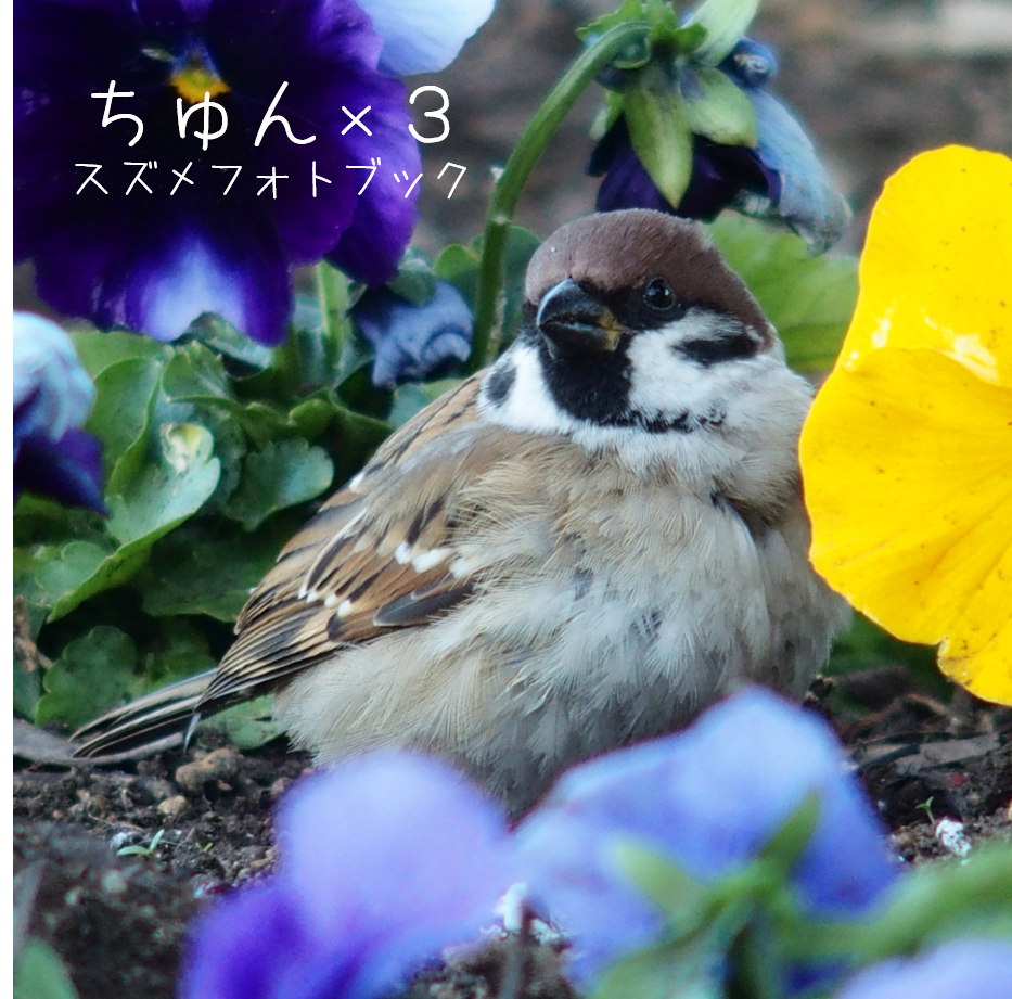 f:id:kizaken:20180929135600p:plain