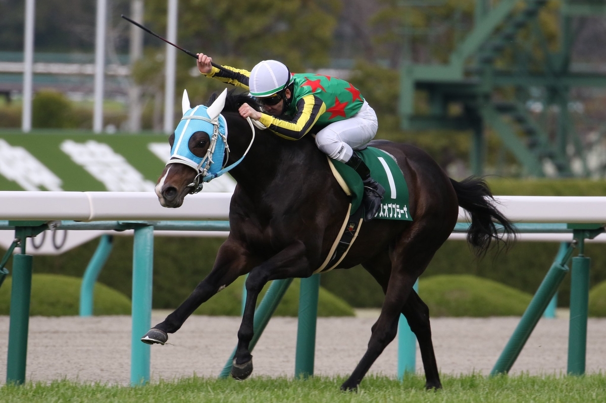 ラジオnikkei賞2019 展開と最終予想 ランスオブプラーナは本当に逃げる 展開予想 Com 予想家あっちゃんの競馬ブログ