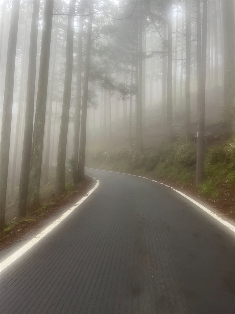 f:id:kj3769:20230425235540j:image f:id:kj3769:20230425235540j:image