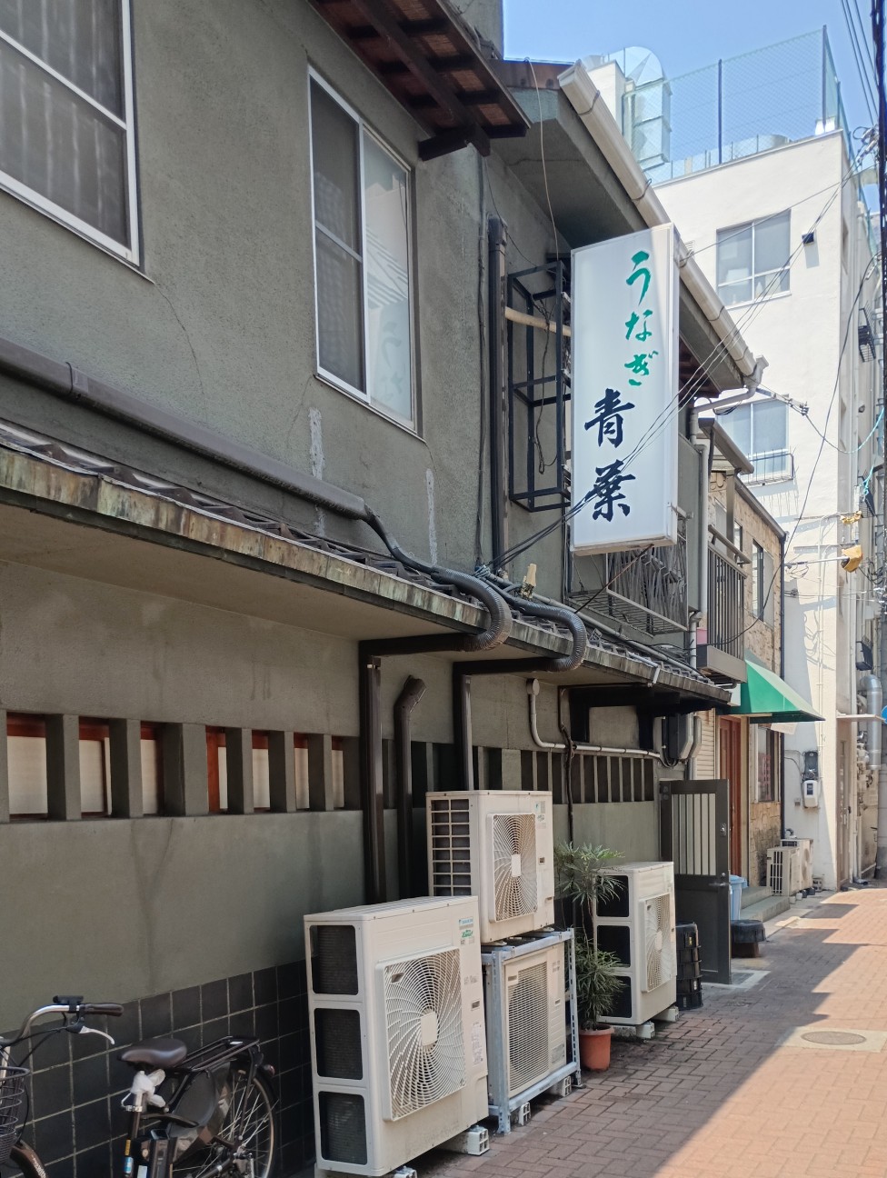 f:id:kjm_nishikawa:20260815094602j:image f:id:kjm_nishikawa:20260815094602j:image