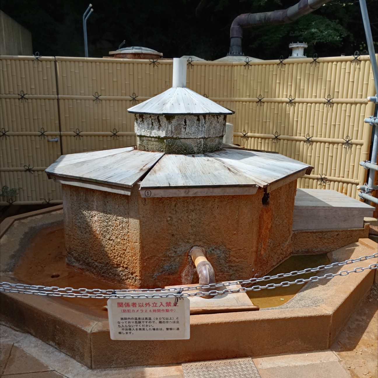 f:id:kjm_nishikawa:20260823204056j:image f:id:kjm_nishikawa:20260823204056j:image