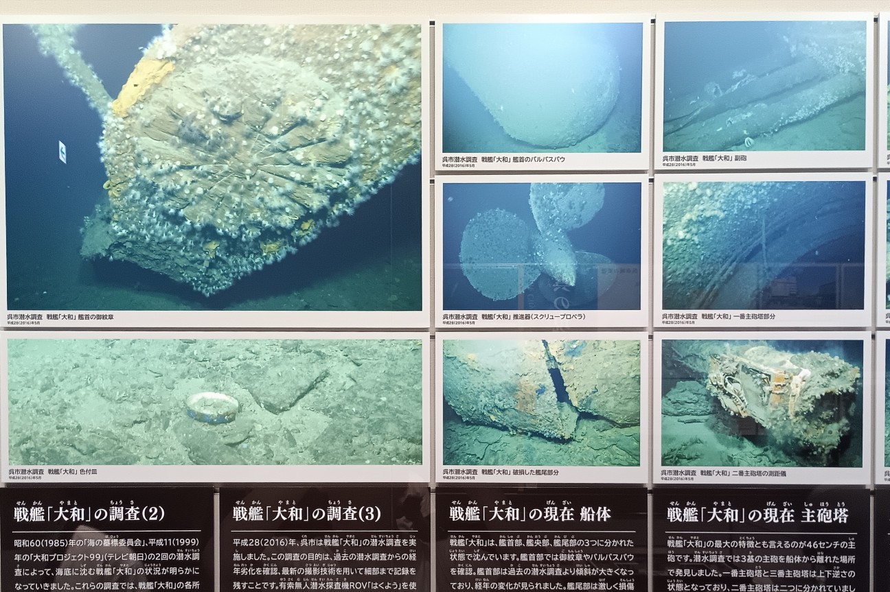 f:id:kjm_nishikawa:20260830214009j:image f:id:kjm_nishikawa:20260830214009j:image