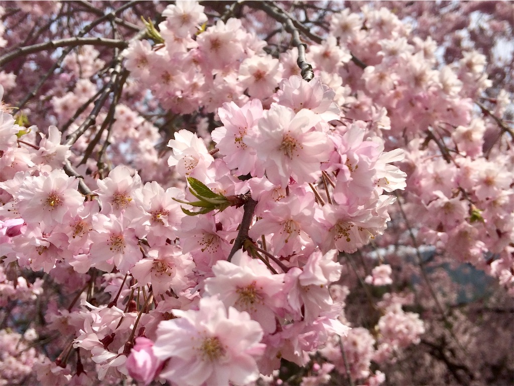 f:id:kjtec:20211204123848j:image f:id:kjtec:20211204123848j:image