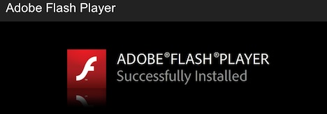 adobeflashplayerimage.jpg