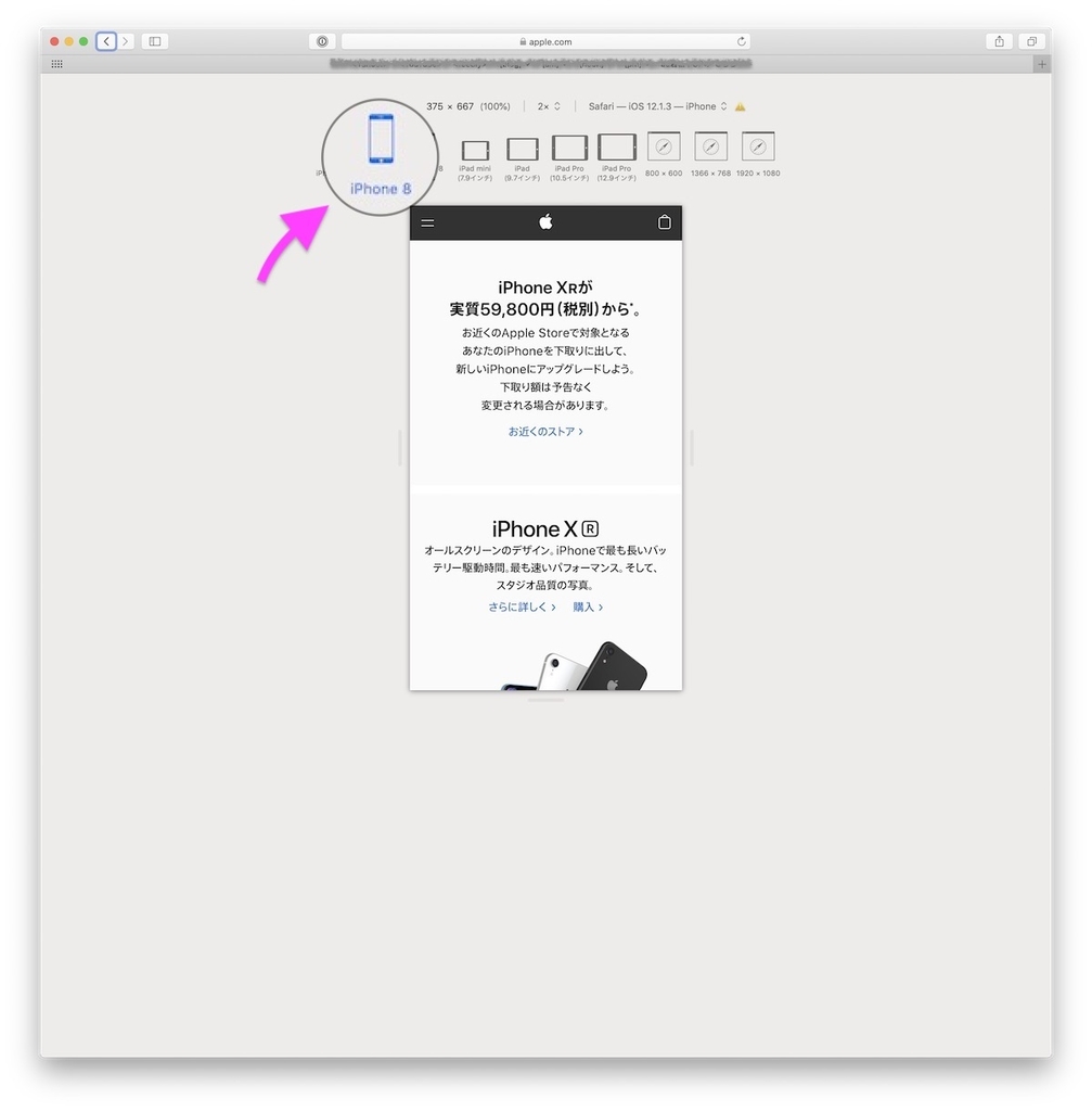 f:id:kjx130:20190307114557j:plain
