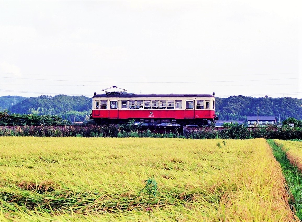 f:id:kk-kiyo:20181129221700j:plain f:id:kk-kiyo:20181129221700j:plain