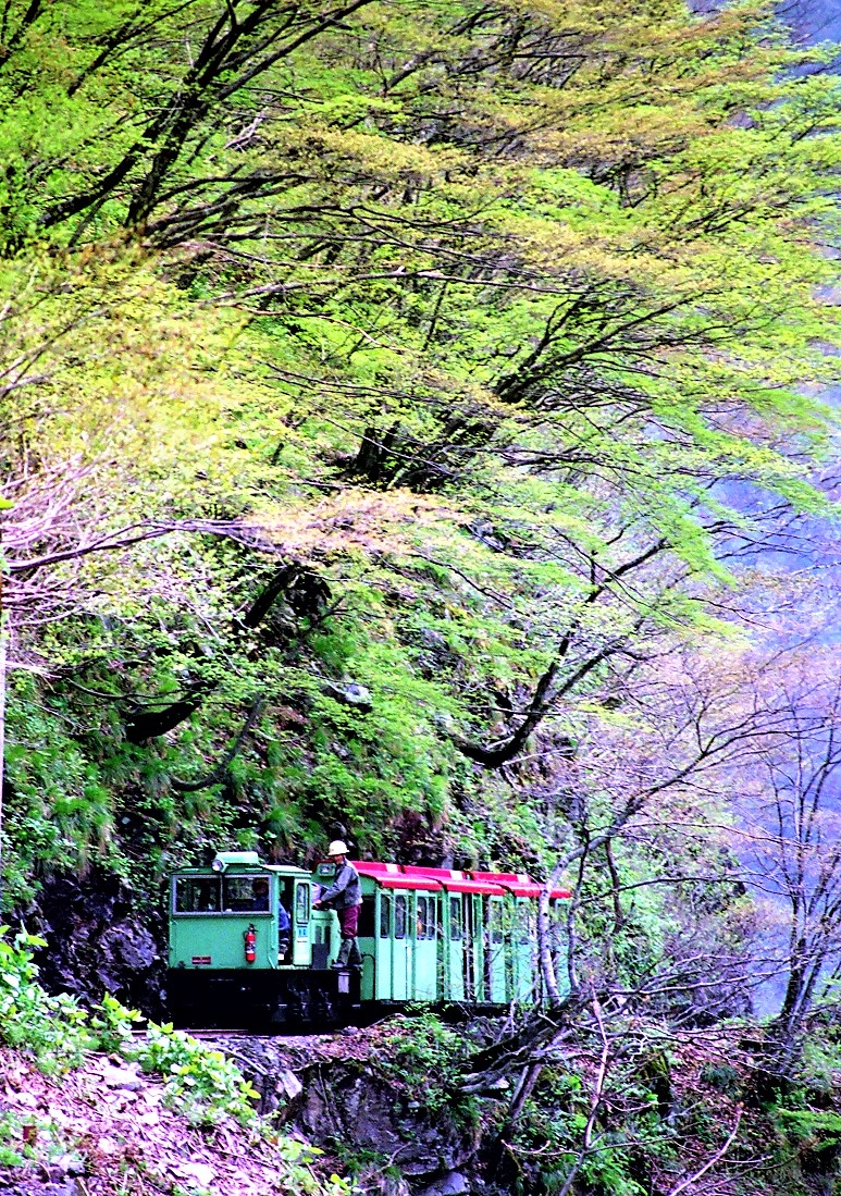 連年余り - 于培山 IRIS FOODS Yamagataken Tsuyahime Gohan 450g (150g x 3p