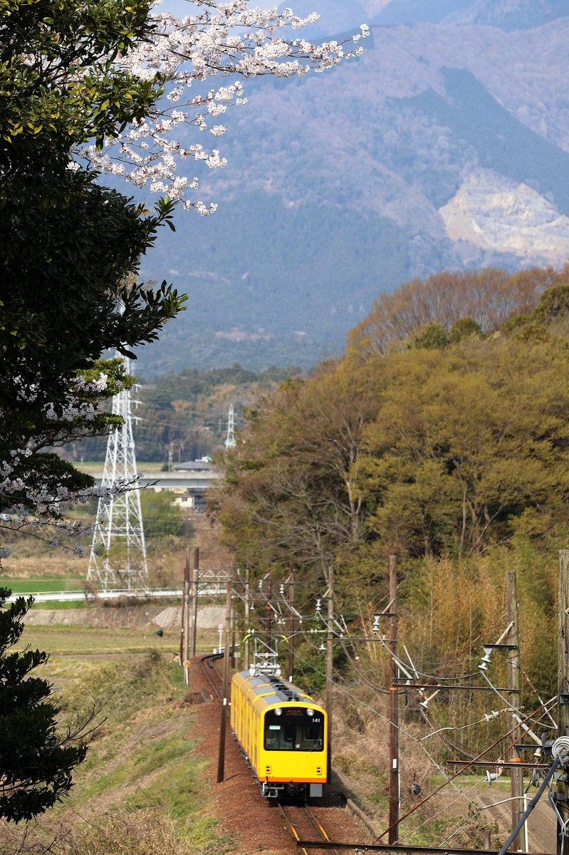 近況編5-5 2025年三岐（北勢線）：おもちゃの電車（その5