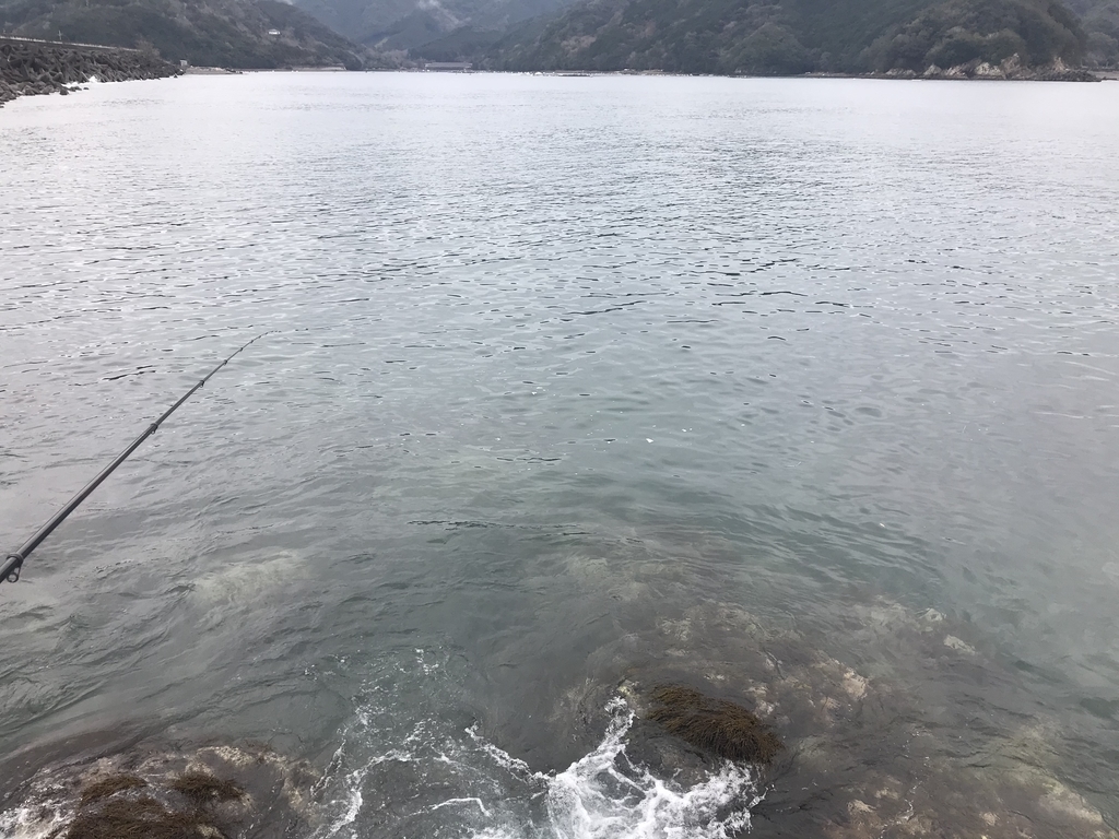 3 10 クロダイ ウキ釣りin紀北町 身近な堤防釣り 主に三重県 の釣行記録
