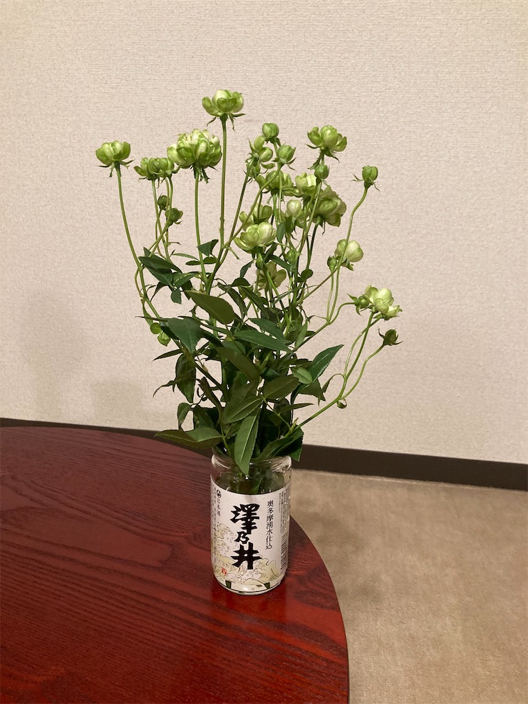 f:id:kk1212kk:20221117090238j:image f:id:kk1212kk:20221117090238j:image