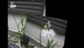 20150820203956