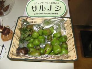 f:id:kk77ww88:20101010221144j:image