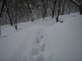f:id:kk77ww88:20111220133309j:image:medium