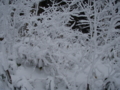 f:id:kk77ww88:20111220135714j:image:medium