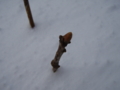 f:id:kk77ww88:20111220140338j:image:medium