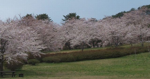 f:id:kk77ww88:20120426121517j:image:w360