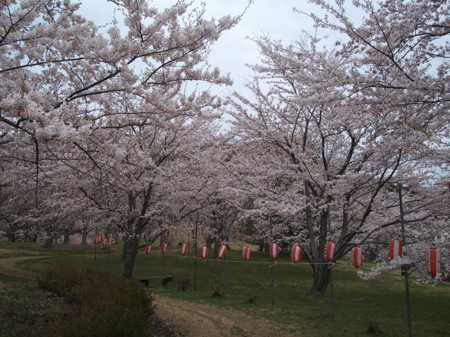 f:id:kk77ww88:20120426122203j:image:w360