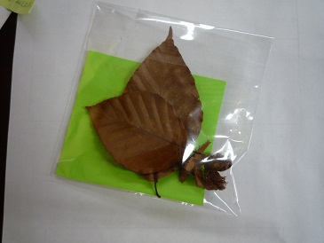 20120923150659