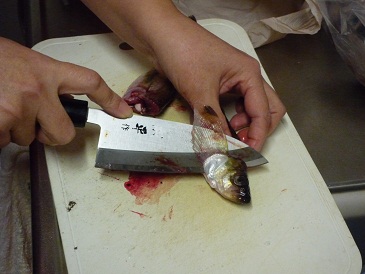 f:id:kk77ww88:20121210163205j:image:w360 f:id:kk77ww88:20121210163205j:image:w360