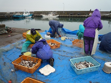 f:id:kk77ww88:20121215123050j:image:w360 f:id:kk77ww88:20121215123050j:image:w360