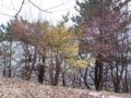 20150316111204