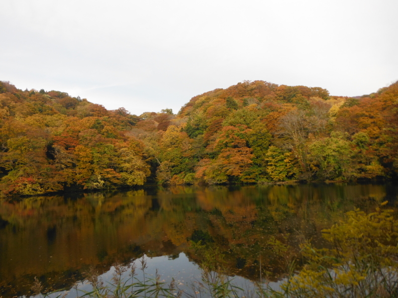 f:id:kk77ww88:20171026143458j:image:w640