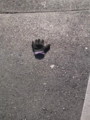 手袋は右手と左手どちらが多く落ちているのか