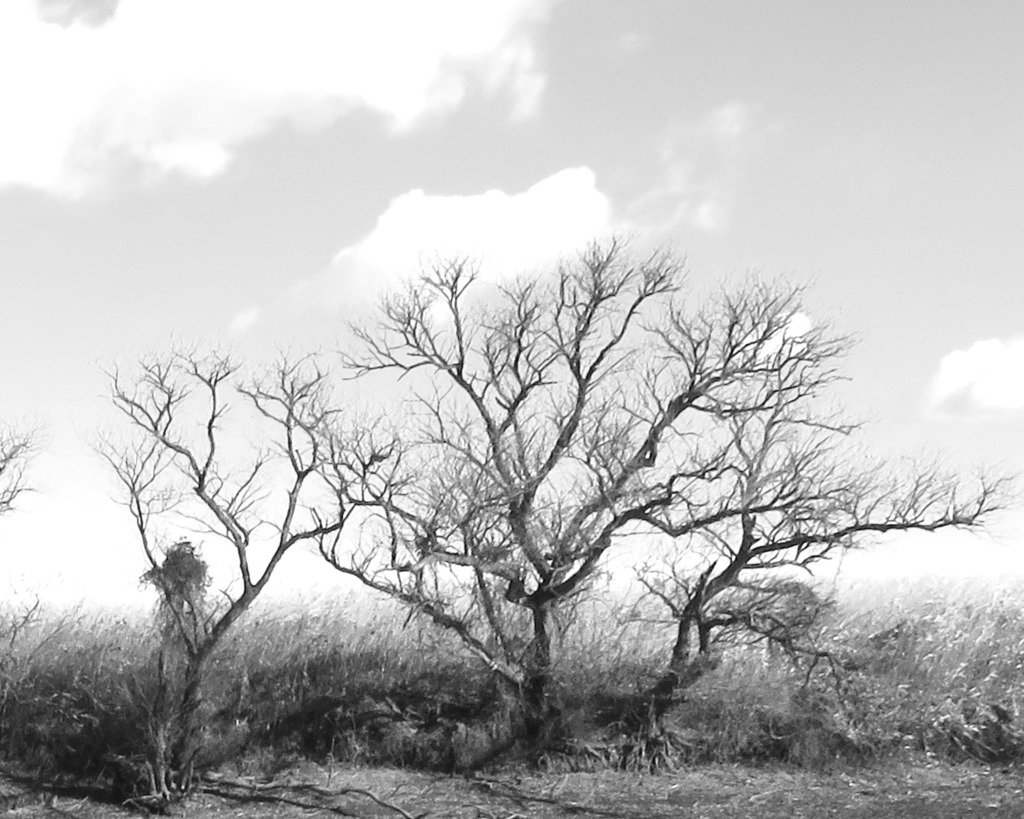 f:id:kkamedev:20180202213426p:plain