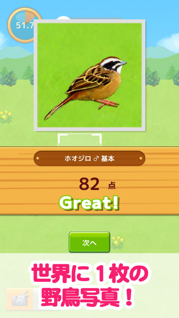 鳥マスター！