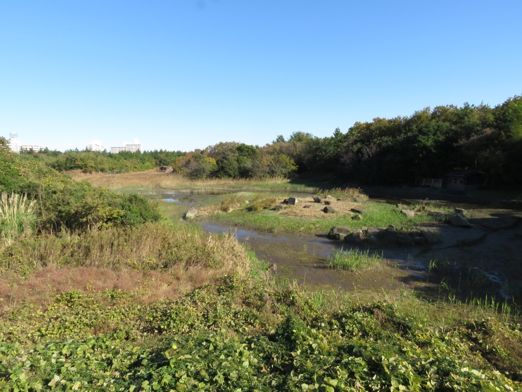 葛西臨海公園