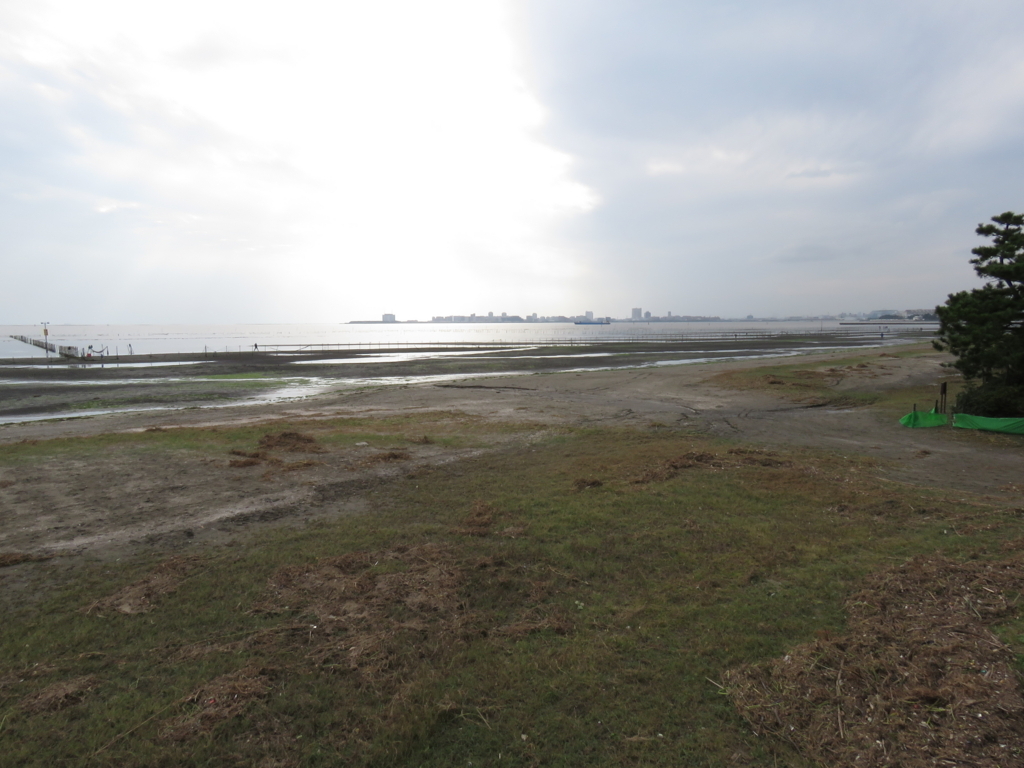 三番瀬海浜公園