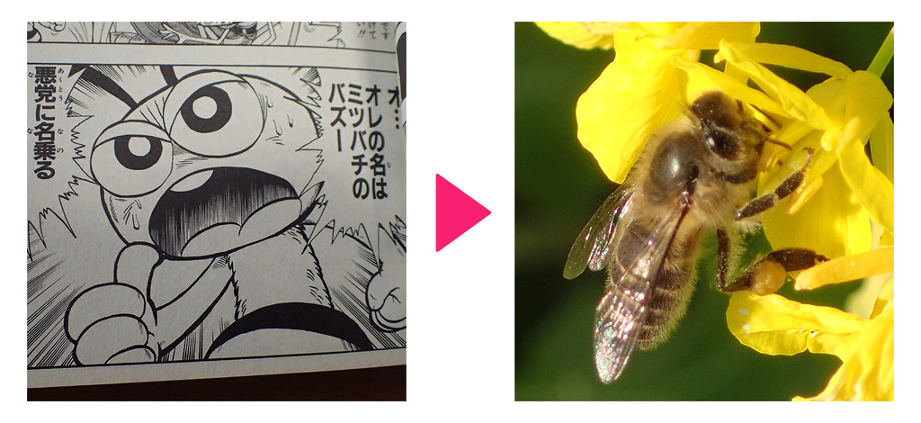 バズー（ニホンミツバチ）