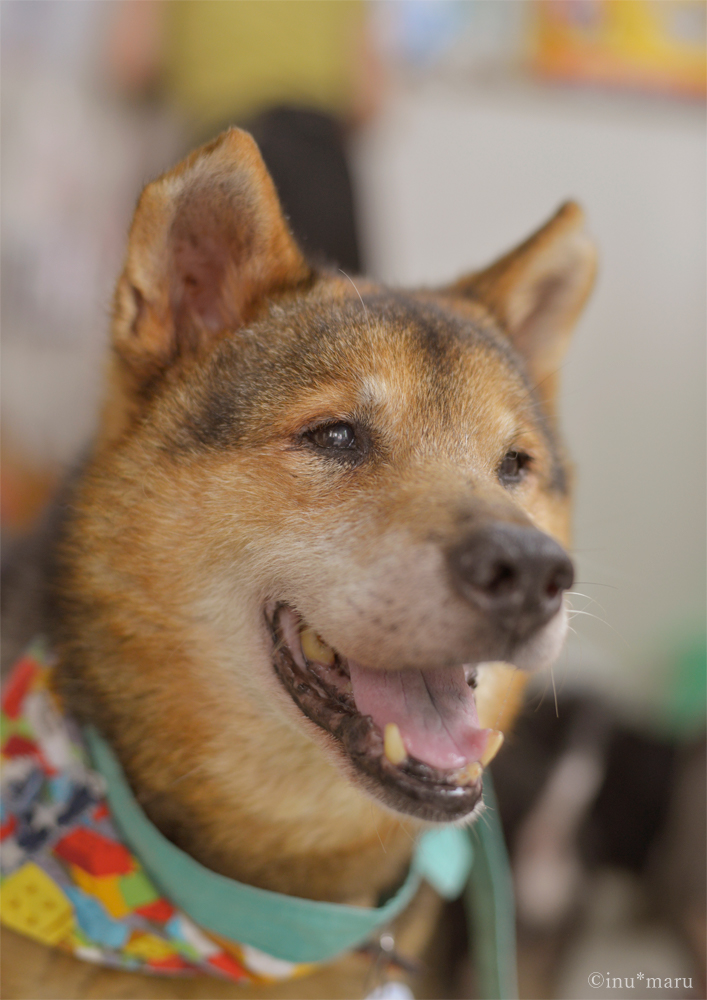 犬丸さんが撮影した大介くん