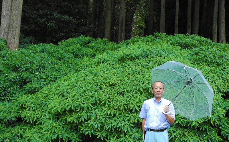 西方寺ミツマタ保存会 会長 糸永清貴さん