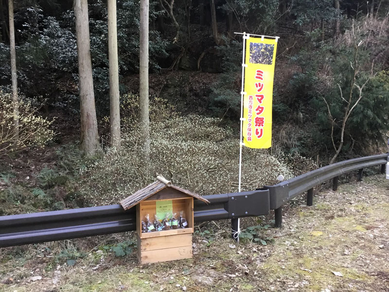 松ぼっくりコーナー