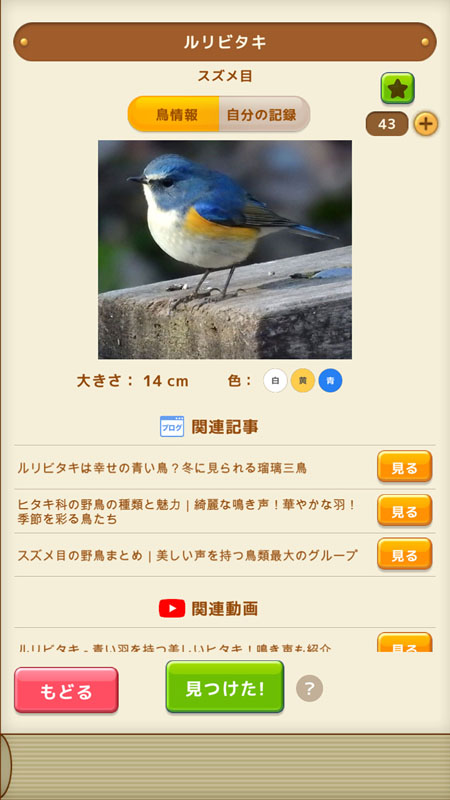 見つけた！野鳥図鑑 詳細