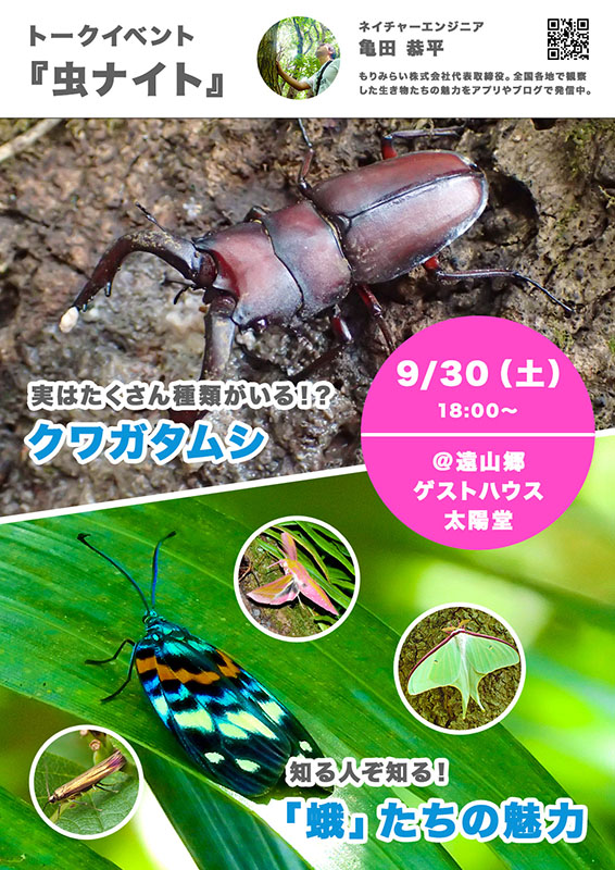 ゲストハウス太陽堂 虫ナイト