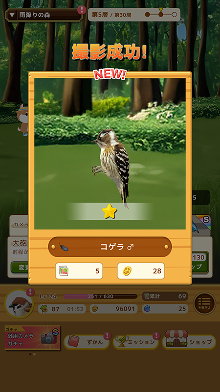 鳥クエスト 鳥