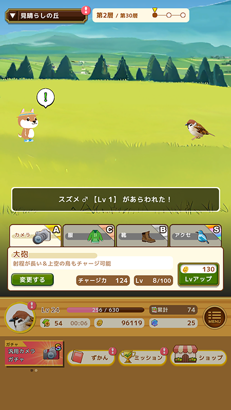 鳥クエスト 撮影
