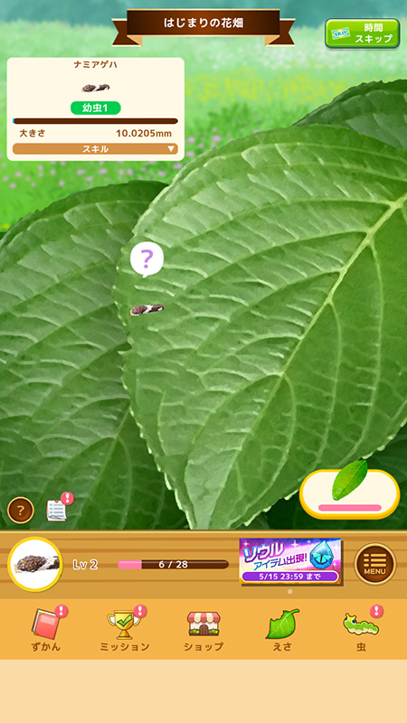 虫育成ゲーム むしいく3