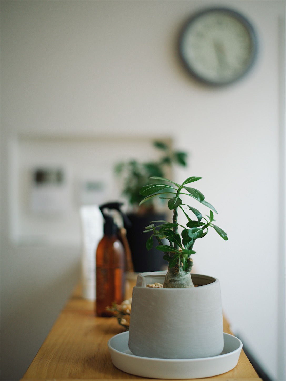f:id:kkcamera:20230528165730j:image
