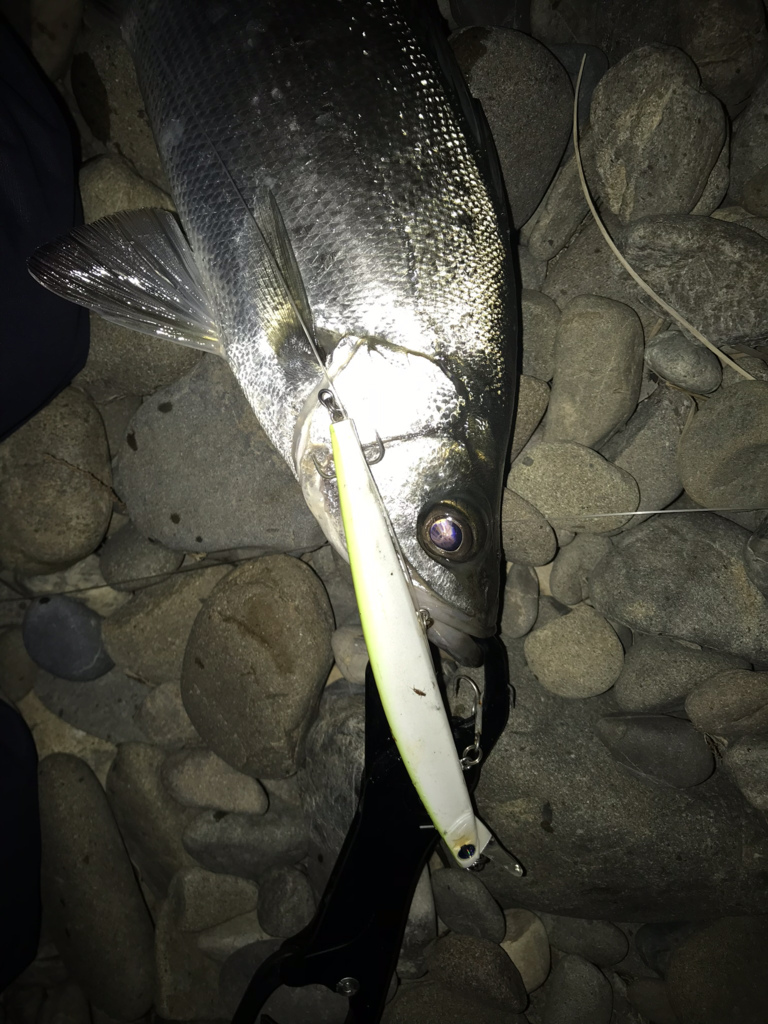 f:id:kkenji0:20181117205724p:plain f:id:kkenji0:20181117205724p:plain
