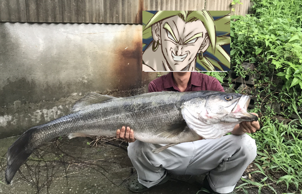 f:id:kkenji0:20181229225528p:plain f:id:kkenji0:20181229225528p:plain