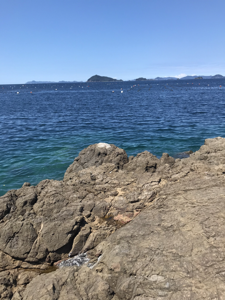 f:id:kkenji0:20181229232454p:plain f:id:kkenji0:20181229232454p:plain