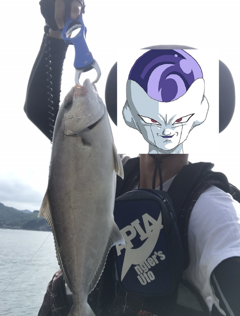 f:id:kkenji0:20181229234319p:plain f:id:kkenji0:20181229234319p:plain
