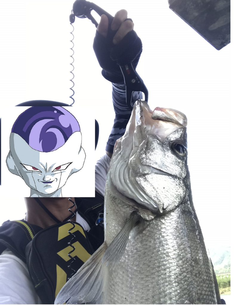 f:id:kkenji0:20181230000151p:plain f:id:kkenji0:20181230000151p:plain